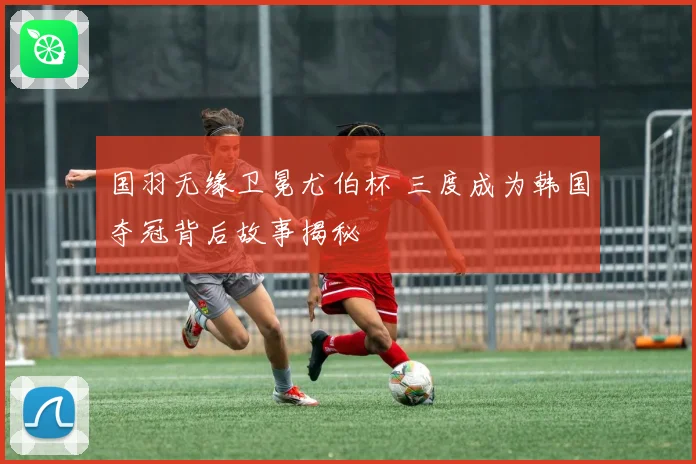 国羽无缘卫冕尤伯杯 三度成为韩国夺冠背后故事揭秘